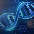 DNA Testi Nasıl Yapılır Nerelerde Kullanılır?