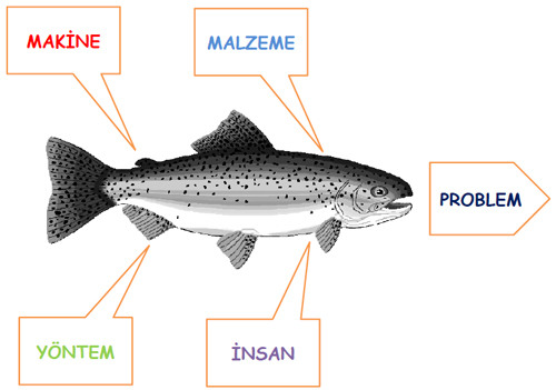 balık kılçığı diyagramı